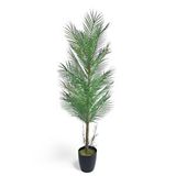Nettenevime Yapay Ağaç Palmiye 155*50cm 30yaprak Areka Ağacı Siyah Saksıda Tek Gövdeli