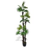 Nettenevime Yapay Ağaç Palmiye Fanpalm 3Katlı 24Yaprak Siyah Plastik Saksıda 165*65Cm