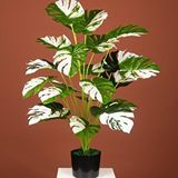 Nettenevime Yapay Ağaç Salon Bitkisi Beyaz Monstera 70 Cm 18 Yaprak Antrasit Saksıda Deve Tabanı Yeşil