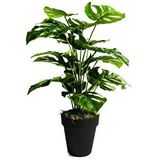 Nettenevime Yapay Ağaç Salon Bitkisi Monstera 60 Cm 18 Yaprak Antrasit Saksıda