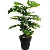 nettenevime Yapay Ağaç Salon Bitkisi Monstera 70 cm 18 Yaprak Antrasit Saksıda