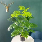 nettenevime Yapay Ağaç Salon Bitkisi Syngonium 70 cm 18 Yaprak Antrasit Saksıda