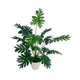 Nettenevime Yapay Ağaç Salon Bitkisi Syngonium 70 Cm 18 Yaprak Beyaz Saksıda Yeşil