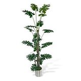 Nettenevime Yapay Ağaç Syngonium Plants 18 Dallı Çalılı Gövde 120x60cm Gümüş Aleminyum Saksıda Yeşil
