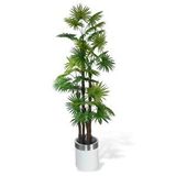 Nettenevime Yapay Ağaç Yelpaze Palmiye 4katlı Fanpalm 32 Yaprak Gümüş Kemerli Beyaz Saksıda 170*65cm Yeşil