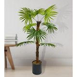 nettenevime Yapay Ağaç Yelpaze Palmiye 8 Yaprak 85*55cm Siyah Aleminyum Saksı