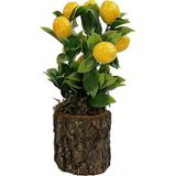 nettenevime Yapay Ahşap Kütük Saksılı Limon Dekoratif Hediye LM100