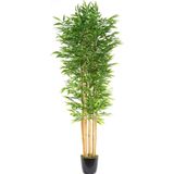 nettenevime Yapay Bambu Ağacı 210cm Siyah Saksılı 7 dallı