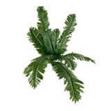 nettenevime Yapay Çiçek 12 Yaprak Cycas Aşk Merdiveni Eğrelti Otu Sıkas Bitkisi 45*50cm Yapay Bitki