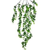 Nettenevime Yapay Çiçek 5dal Sarkan Okaliptus Şimşir Yapay Sarmaşık 70cm Yeşil