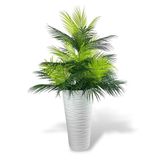 nettenevime Yapay Çiçek Areka Salon Bitkisi Beyaz Uzun Kumsal Vazoda 130cm 45Yaprak