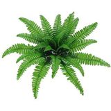 Nettenevime Yapay Çiçek Aşk Merdiveni Eğrelti Otu Bitkisi 24 Yaprak 55cm Yapay Bitki