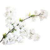 Nettenevime Yapay Çiçek Bahar Dalı Japon Kiraz Çiçeği 90 Cm Beyaz Renksiz