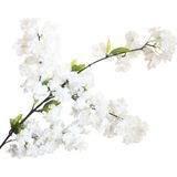 Nettenevime Yapay Çiçek Bahar Dalı Japon Kiraz Çiçeği 90 Cm Beyaz