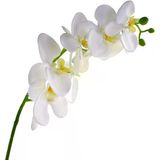 Nettenevime Yapay Çiçek Beyaz Islak Orkide Uzun Dal 90 Cm Orkide