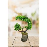 Nettenevime Yapay Çiçek Bonsai Ağacı Kütük Saksıda Beyaz Tomurcuklu Hilal Model Dekoratif Yapay Ağaç Bonzai 30*20 Cm