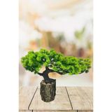 Nettenevime Yapay Çiçek Bonsai Ağacı Kütük Saksıda Yatık Akasya Dekoratif Yapay Ağaç Bonzai 30*20 Cm
