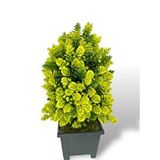 Nettenevime Yapay Çiçek Bonsai Ağacı Sarı Kozalak Model Dekoratif Yapay Ağaç Bonzai 30*15 Cm Siyah Kare Saksıda