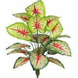 Nettenevime Yapay Çiçek Demet Tropik Kızıl Caladium 18 Dal 70 Cm Salon Çiçeği Yapay Bitki