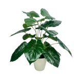 Nettenevime Yapay Çiçek Difenbahya Yeşil Salon Çiçeği 50Cm Beyaz Saksılı Yapay Bitki