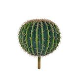 Nettenevime Yapay Çiçek Echinocactus Grusonii Altın Fıçı Kaktüs 35*35cm Cactüs Sk4011 Renksiz