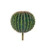 nettenevime Yapay Çiçek Echinocactus Grusonii Altın Fıçı Kaktüs 35*35cm Cactüs sk4011