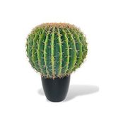 Nettenevime Yapay Çiçek Echinocactus Grusonii Altın Fıçı Kaktüs Siyah Saksıda 50*35cm Cactüs Sk4011s Renksiz