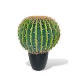nettenevime Yapay Çiçek Echinocactus Grusonii Altın Fıçı Kaktüs Siyah Saksıda 50*35cm Cactüs sk4011s
