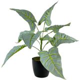 nettenevime Yapay Çiçek Fil Kulağı Açık Yeşil Islak Doku Salon Bitkisi Siyah Saksıda 40cm 9 Yapraklı