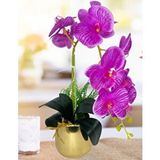 Nettenevime Yapay Çiçek Fuşya Islak Orkide Gold Metal Saksıda Seramik Saksıda Orkide 60cm Pembe
