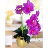 Nettenevime Yapay Çiçek Fuşya Islak Orkide Gold Metal Saksıda Seramik Saksıda Orkide 60Cm