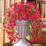 Nettenevime Yapay Çiçek Fuşya Sarkan Mineli Okaliptus Şimşir Yapay Sarmaşık 5dal 60cm Pembe