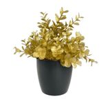 nettenevime Yapay Çiçek Gold Renk Şimşir Siyah Saksıda Siyah Plastik Saksılı Dekoratif Süs Çiçeği