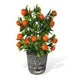 Nettenevime Yapay Çiçek Gri Seramik Saksıda Mandalina Ağacı 40cm Renksiz