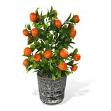 nettenevime Yapay Çiçek Gri Seramik Saksıda Mandalina Ağacı 40cm