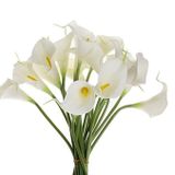 nettenevime Yapay Çiçek Islak Gala Gerçeksi Eva Malzeme Cala Flower 8li BEYAZ