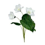 Nettenevime Yapay Çiçek Islak Manolya Gerçek Dokulu 3 Kafa Magnolia Beyaz