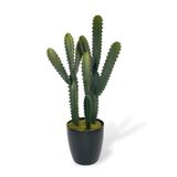 Nettenevime Yapay Çiçek Kaktüs Ağacı 3Köşeli 3Boy Siyah Saksıda 70*30cm sk4020