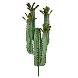 Nettenevime Yapay Çiçek Kaktüs Ağacı 4kollu Kızıl Yapraklı 70*22cm 4027 Yeşil