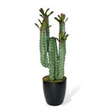 Nettenevime Yapay Çiçek Kaktüs Ağacı 4kollu Kızıl Yapraklısiyah Saksıda 70*22cm 4027