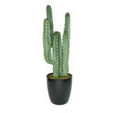 Nettenevime Yapay Çiçek Kaktüs Ağacı 4kollu Siyah Saksıda 70*22cm 4026