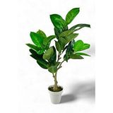 Nettenevime Yapay Çiçek Kauçuk Ağacı 85cm Salon Çiçeği Beyaz Saksılı Yapay Bitki Yeşil