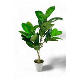 Nettenevime Yapay Çiçek Kauçuk Ağacı 85cm Salon Çiçeği Beyaz Saksılı Yapay Bitki