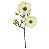 Nettenevime Yapay Çiçek Krem Eva Manolya 2 Çiçek 1 Tomurcuk Uzun Dal Çiçek Flowers 55cm Gerçeksi Doku
