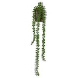 Nettenevime Yapay Çiçek Kütük Saksıda Sarkan String 3 Dallı 55cm Sarkan Çiçek Renksiz