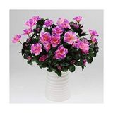 Nettenevime Yapay Çiçek Lila Açık Açelya Demeti 7 Dallı 33 * 20cm