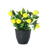 nettenevime Yapay Çiçek Limon Ağacı Siyah Saksıda Ve Dekoratif