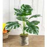 nettenevime Yapay Çiçek Monstera 9 Dal Kütük Saksılı Deve Tabanı Dekoratif Süs Çiçeği