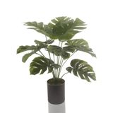 nettenevime Yapay Çiçek Monstera Deve Tabanı Siyah Saksılı Salon Çiçeği 12 Yaprak