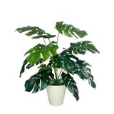 Nettenevime Yapay Çiçek Monstera Salon Çiçeği 50Cm Beyaz Saksılı Yapay Bitki